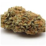 Шишки AK47  (Гидропоника, Бошка) VHQ в Коркино